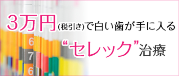 セレック治療